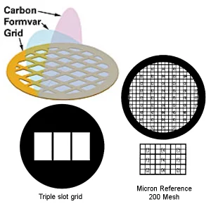 Carbon Type-B