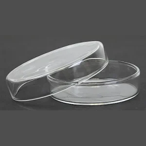 Glass Petri Dishes