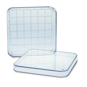 Petri Dishes