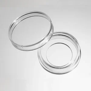 Glass Bottom Dishes