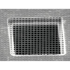 Quantifoil Array of 1,2 m Round Holes R1.2/20