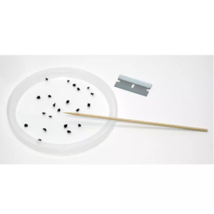 Tissue Mincing Dish, 4" OD (10cm)