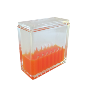Hellendahl Type Staining Dish