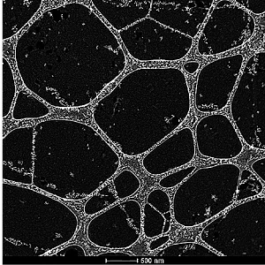Graphene Oxide