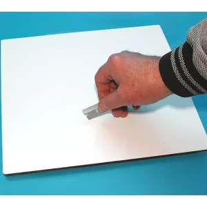 Dissecting Supplies