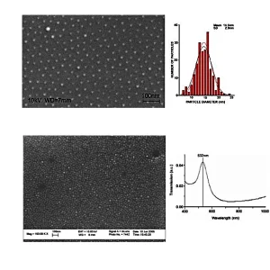 Gold Nanoarrays