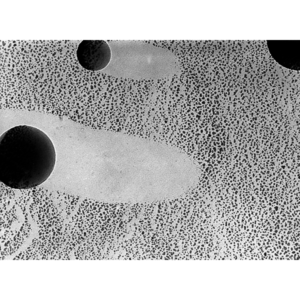 PELCO AFM Tip and Resolution Test Specimen