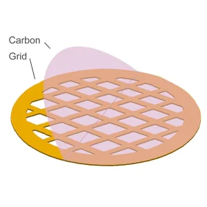 Carbon