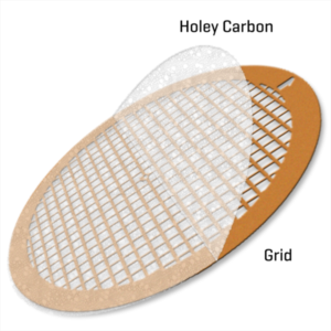 Holey Carbon film on Copper 300 mesh