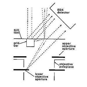 NiOx Test Specimen