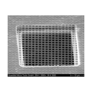 Quantifoil Array of 1.2 m Round Holes R1,2/1,3