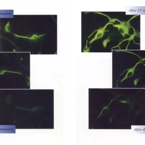 Citifluor Solutions