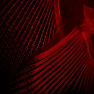 Alizarin Red