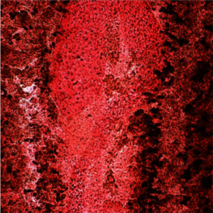Carmine