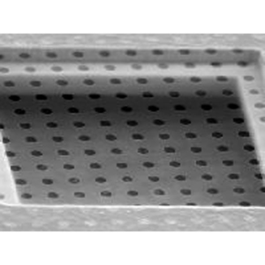 QUANTIFOIL TEM Substrates