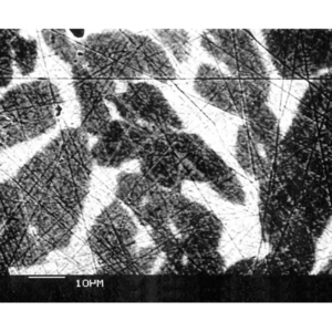 Duplex Reference Specimen